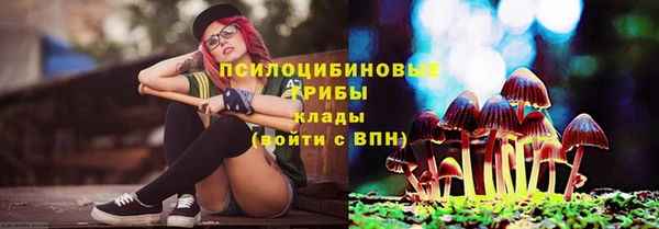 ПСИЛОЦИБИНОВЫЕ ГРИБЫ Арсеньев