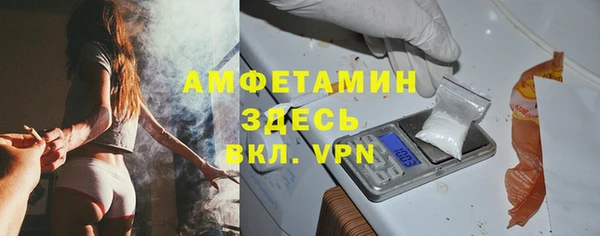 ПСИЛОЦИБИНОВЫЕ ГРИБЫ Арсеньев
