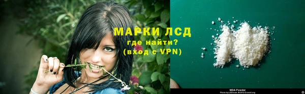ПСИЛОЦИБИНОВЫЕ ГРИБЫ Арсеньев