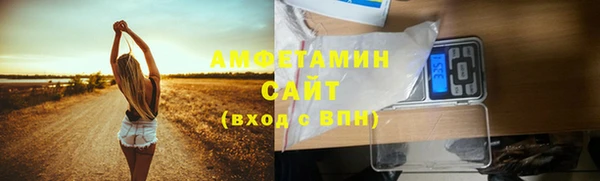 ПСИЛОЦИБИНОВЫЕ ГРИБЫ Арсеньев