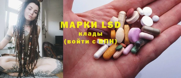 ПСИЛОЦИБИНОВЫЕ ГРИБЫ Арсеньев